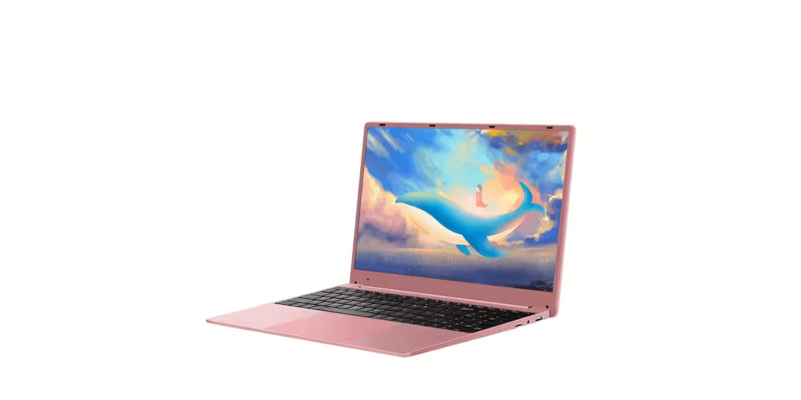 Rugged 15.6" Metal Body Budget Laptop with N4100, SSD & Windows 10 omnibaya