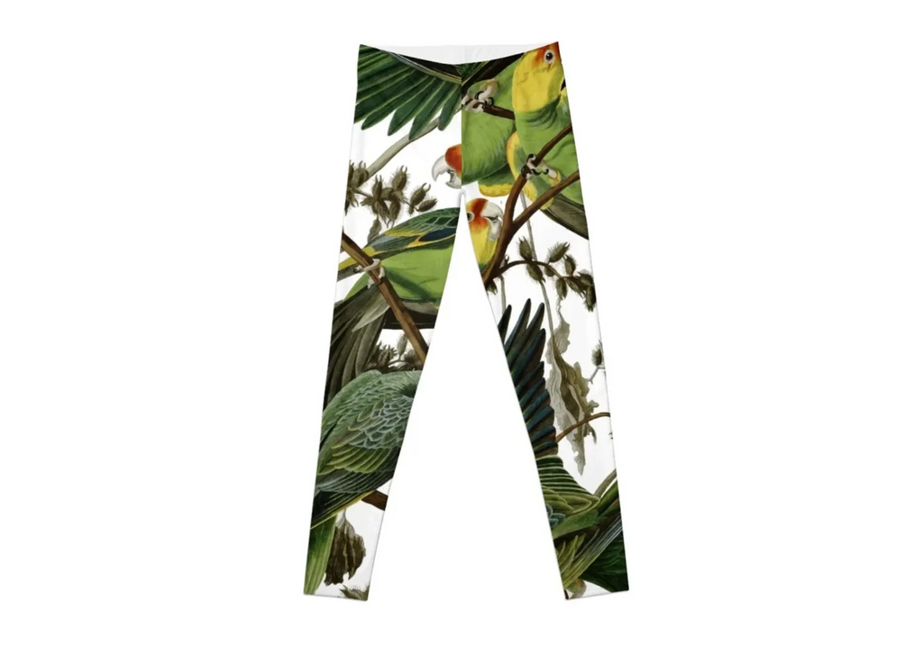 Audubon's Carolina Parakeet Leggings – Soft, Stretchy Carolina Blue Sweatpants for Women – Gym & Lounge Yoga Pants - Omnibaya