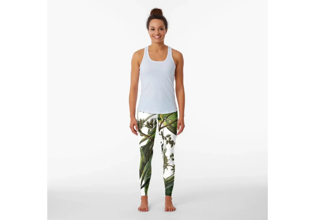 Audubon's Carolina Parakeet Leggings – Soft, Stretchy Carolina Blue Sweatpants for Women – Gym & Lounge Yoga Pants omnibaya