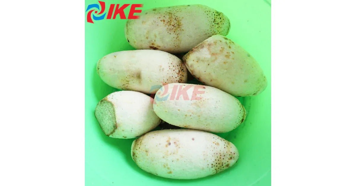 Commercial Automatic Electric Vegetable Peeler Machine – High Capacity & Reliable - Omnibaya