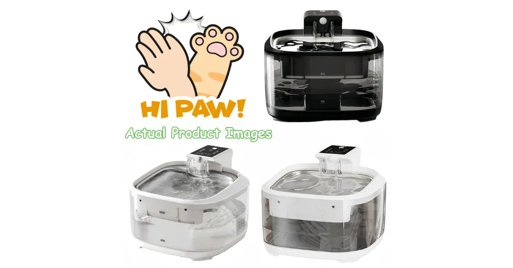 Automatic Pet Water Fountain – Stainless Steel & Filtered Hydration for Pets - Omnibaya
