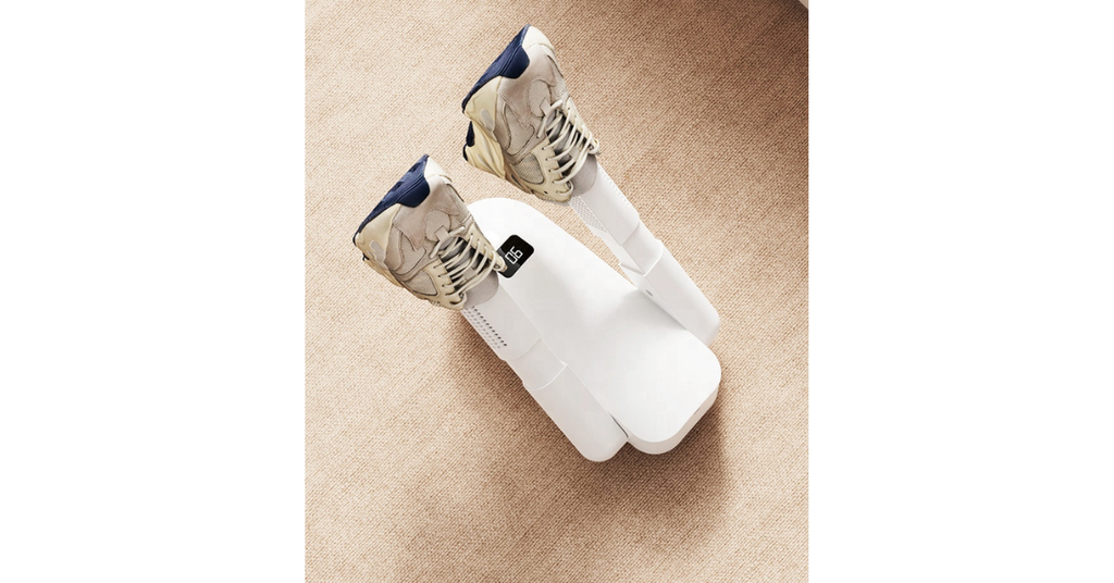 shoe dryer and deodorizer solution