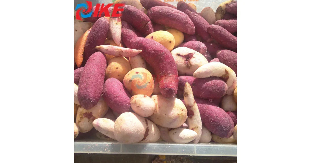 Commercial Automatic Electric Vegetable Peeler Machine – High Capacity & Reliable - Omnibaya