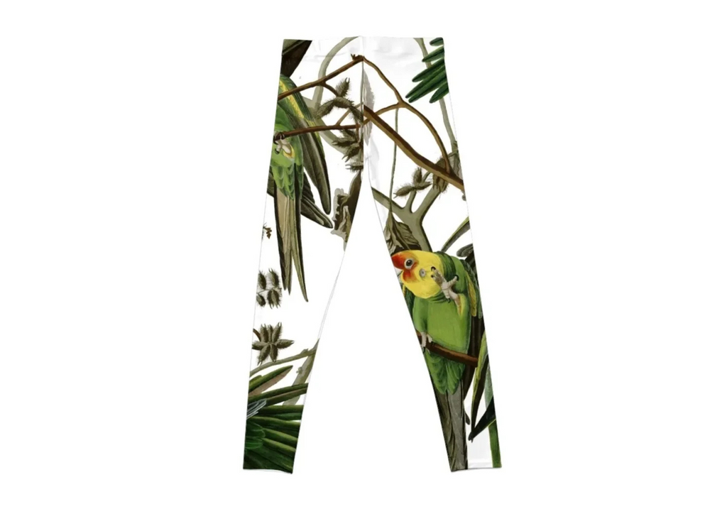 Audubon's Carolina Parakeet Leggings – Soft, Stretchy Carolina Blue Sweatpants for Women – Gym & Lounge Yoga Pants - Omnibaya